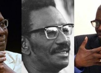 FELWINE SARR : « SUR CHEIKH ANTA, BORIS DIOP A MÉJUGÉ BACHIR DIAGNE »