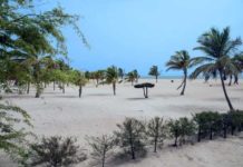 Scandale à Pointe Sarène : Une mafia espagnole fait main basse sur 25 hectares