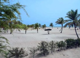 Scandale à Pointe Sarène : Une mafia espagnole fait main basse sur 25 hectares