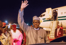 Visa gratuit : Le Nigeria ouvre ses portes à tous les Africains