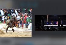 Sénégal : Quand les arts martiaux mixtes chatouillent les biceps des lutteurs traditionnels