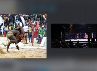 Sénégal : Quand les arts martiaux mixtes chatouillent les biceps des lutteurs traditionnels