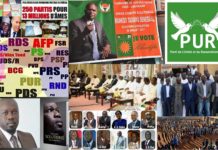 Sénégal : Sur 325 partis, moins de 30 ont une existence conforme à la loi du 6 mai 1981