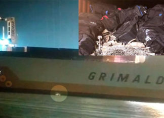 Cocaïne saisie au Port : Le capitaine du «Grande Nigéria» a quitté le Sénégal en catimini