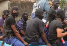 SÉNÉGAL : ZOOM SUR LES NOUVEAUX TUEURS QUI HANTENT LE SOMMEIL DES POPULATIONS