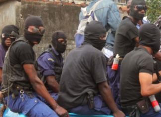 SÉNÉGAL : ZOOM SUR LES NOUVEAUX TUEURS QUI HANTENT LE SOMMEIL DES POPULATIONS