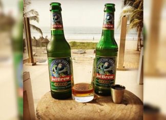 EXCLUSIF : CHASSÉE DE LA GAMBIE PAR LES TAXES, L’USINE DE BIÈRE FRANÇAISE CASTEL EN VOIE D’ÊTRE DÉLOCALISÉE AU SÉNÉGAL