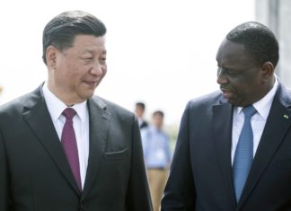 EXCLUSIF : LA GUERRE DE L’ARACHIDE FAIT RAGE ENTRE CHINOIS ET SÉNÉGALAIS