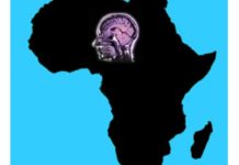 DIASPORA : ET SI LA COVID-19 AIDAIT (ENFIN) L’AFRIQUE À ENRAYER LA FUITE DES CERVEAUX ?