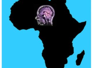 DIASPORA : ET SI LA COVID-19 AIDAIT (ENFIN) L’AFRIQUE À ENRAYER LA FUITE DES CERVEAUX ?