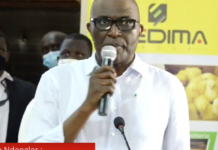 EXCLUSIF : LA MAÎTRESSE D’UNE AUTORITÉ DÉTOURNE 25 MILLIONS À LA SEDIMA, DE FORTES PRESSIONS POUR ÉTOUFFER L’AFFAIRE…