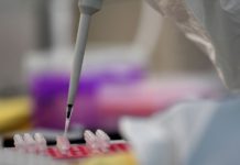 EXCLUSIF : UN RAPPORT DE L’OMS RELANCE LE DÉBAT SUR L’ORIGINE DU CORONAVIRUS