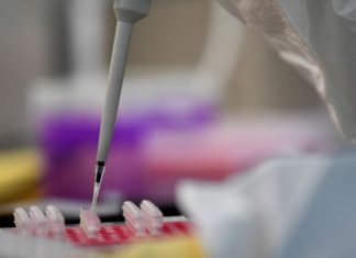 EXCLUSIF : UN RAPPORT DE L’OMS RELANCE LE DÉBAT SUR L’ORIGINE DU CORONAVIRUS