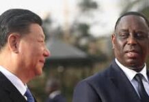 DÉCRYPTAGE : « ENTRE LA CHINE ET L’AFRIQUE, LA RELATION EST PROFONDÉMENT ASYMÉTRIQUE »