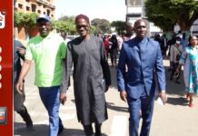 ESPACES VERTS : LE PORT DE DAKAR TOMBE SOUS LE CHARME DU MODÈLE QUI A FLEURI AU COUD