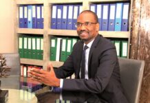 RÉCOMPENSE : LA SOCOCIM, ACTEUR MAJEUR EN MATIÈRE DE RSE AU SÉNÉGAL, OFFRE À CHAQUE LION 30 TONNES DE CIMENT