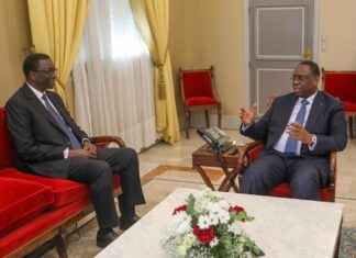 EXCLUSIF : ANNONCÉ AU GOUVERNEMENT, À QUEL POSTE SERA LE SÉNÉGALO-LIBANAIS MOHAMED SALEH ?