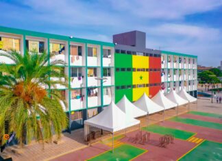 MONDIAL 2022 : LA FANZONE DU COUD PRÊTE À VIBRER !!!