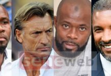 LIONS : ZOOM SUR LES QUATRE POTENTIELS SUCCESSEURS DU COACH ALIOU CISSÉ