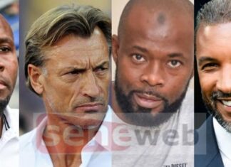 LIONS : ZOOM SUR LES QUATRE POTENTIELS SUCCESSEURS DU COACH ALIOU CISSÉ