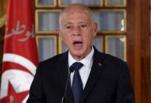 TUNISIE : APERÇU POLITICO-HISTORIQUE SUR LES ORIGINES DE LA DÉRIVE FASCISTE