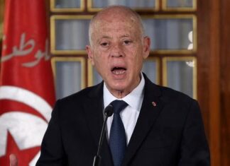 TUNISIE : APERÇU POLITICO-HISTORIQUE SUR LES ORIGINES DE LA DÉRIVE FASCISTE