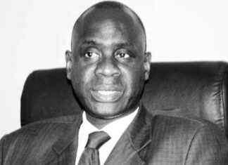 GUEST-ÉDITORIAL : ET SI LE CONTRAT DE PRESTATION DE SERVICE ÉTAIT UN CONCEPT GALVAUDÉ AU SÉNÉGAL ? (PAR IBRAHIMA MBAYE)