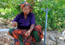 PORTRAIT : BINETA BÂ, FIGURE INSPIRANTE DU MARAÎCHAGE AU FÉMININ AU SÉNÉGAL !