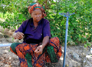 PORTRAIT : BINETA BÂ, FIGURE INSPIRANTE DU MARAÎCHAGE AU FÉMININ AU SÉNÉGAL !