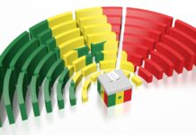 LÉGISLATIVES : 41 LISTES À LA CONQUÊTE DES VOIX DES SÉNÉGALAIS