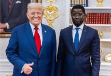 EXCLUSIF : TRUMP SOLLICITE DIOMAYE POUR ACCUEILLIR AU SÉNÉGAL DES MIGRANTS EXPULSÉS